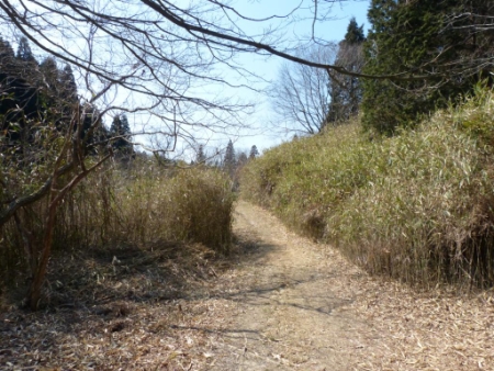 画像21